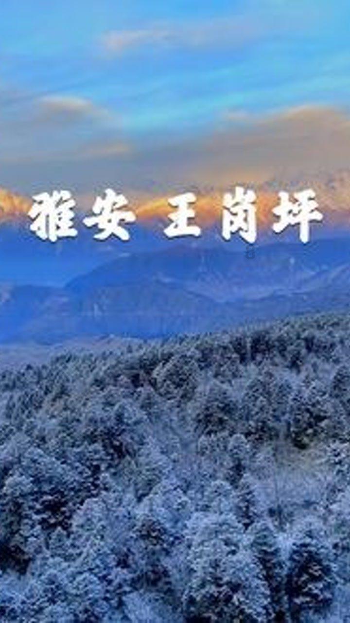 拯救漂亮的女孩