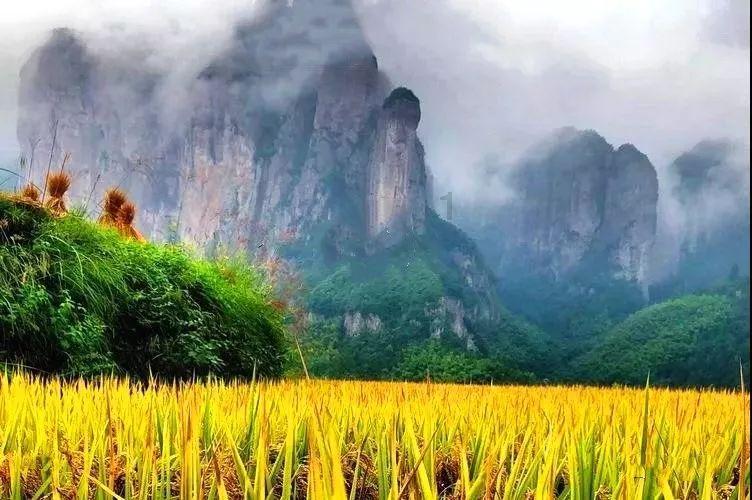 胡可带儿子游新加坡，安吉瘦回“东北宋仲基”，小鱼儿胖出新高度