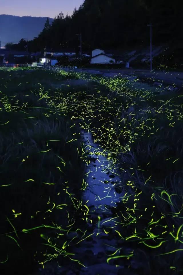 拯救巧虎4