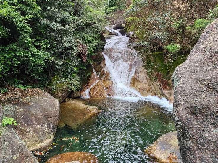 衡阳县:雪后油菜田间积水严重农技人员及时清沟排渍